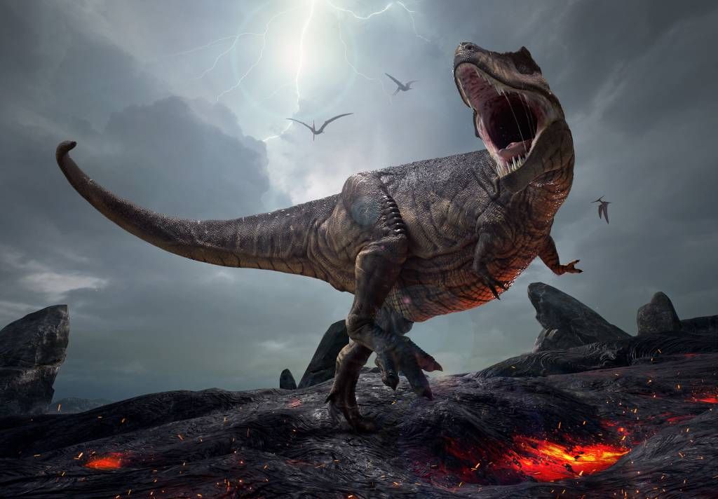 Dinosaures - Tyrannosaure Rex - Chambre des enfants