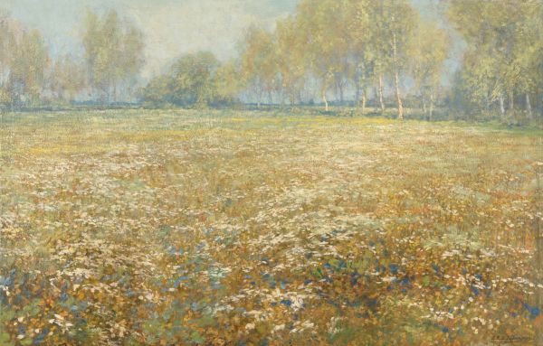 Prairie fleurie