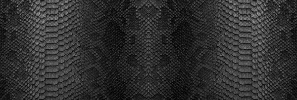 Peau de serpent