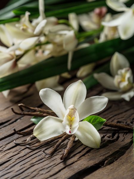 Gousses de vanille et fleurs