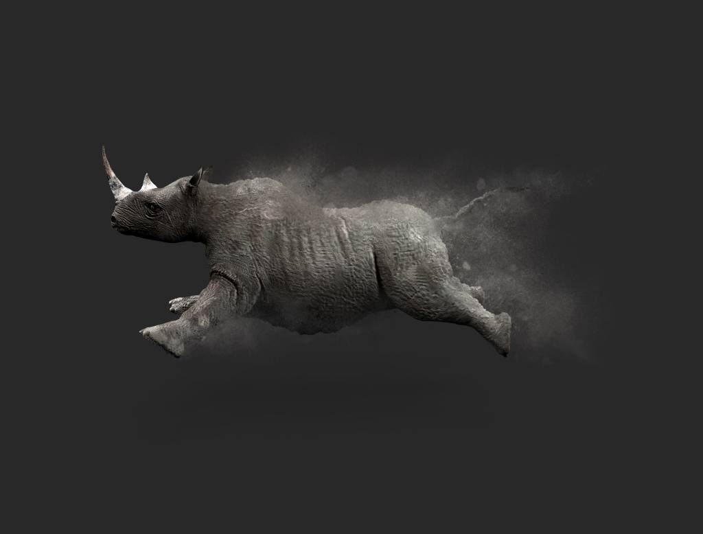 Rhinocéros sauteur main product photo