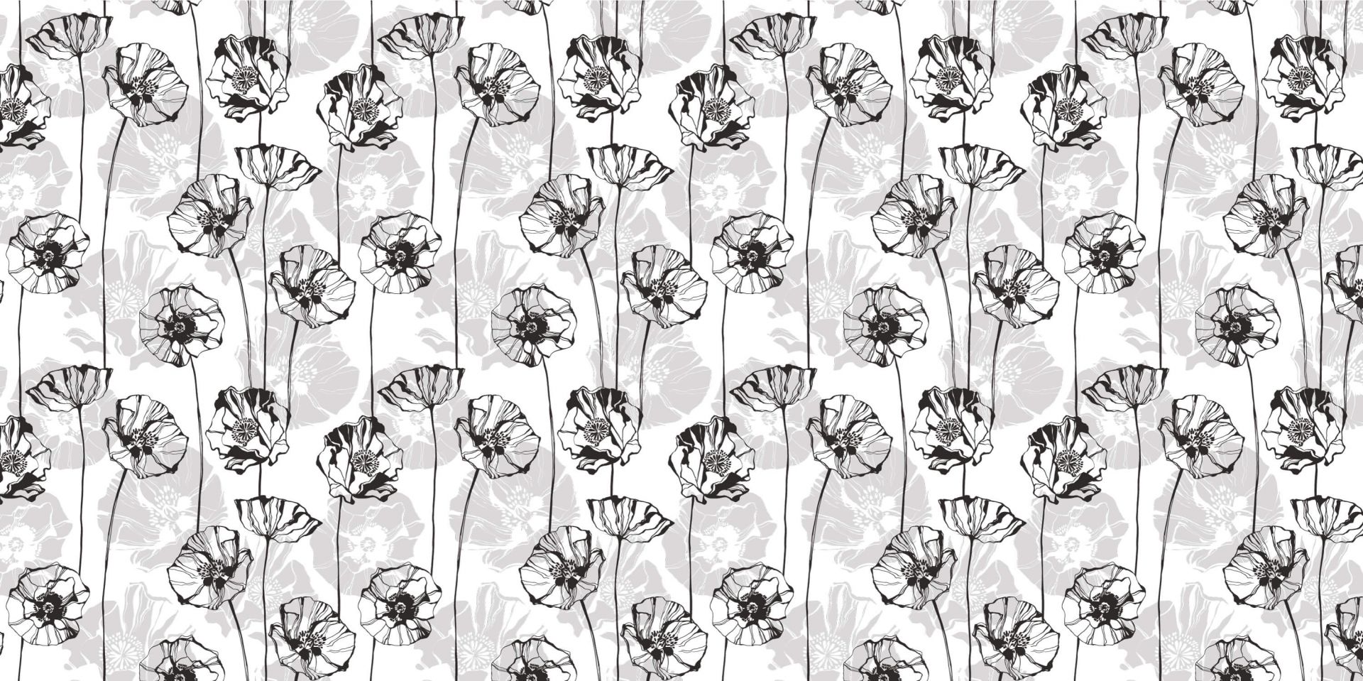 Coquelicots graphique