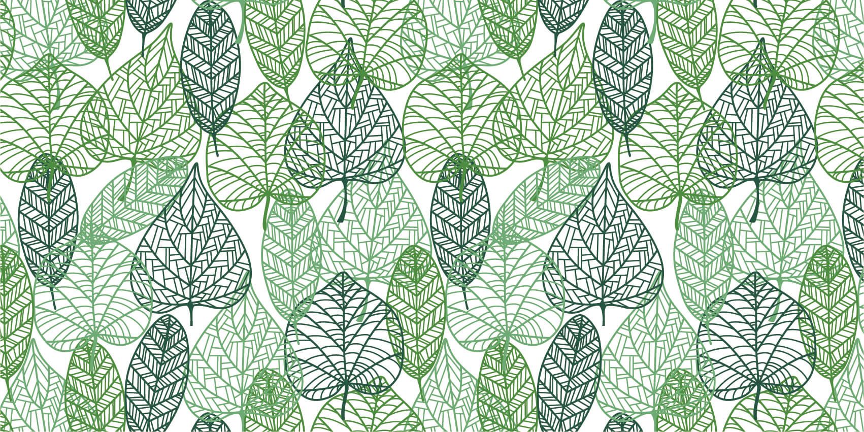 Feuilles vertes éparpillées main product photo