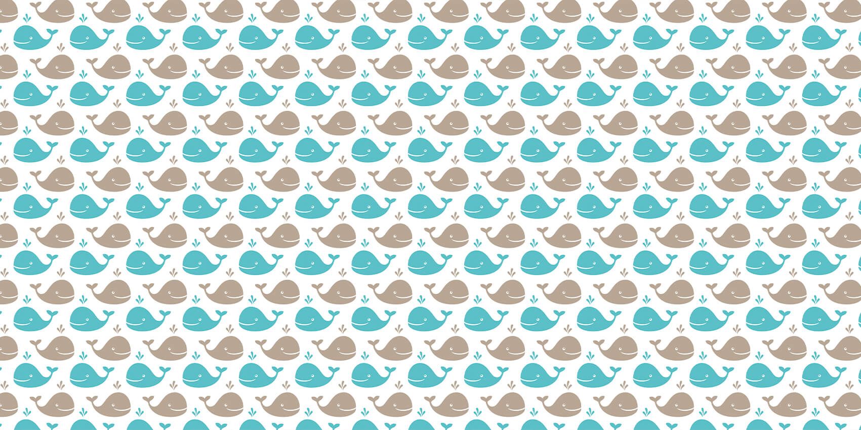 Baleines main product photo