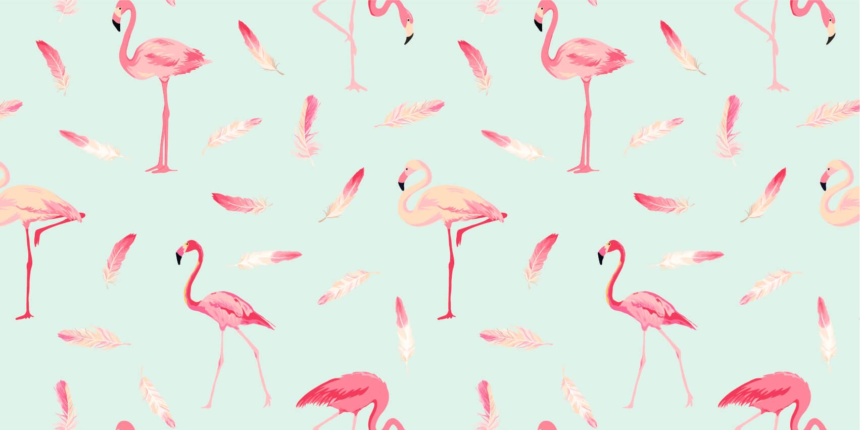 Flamants roses main product photo