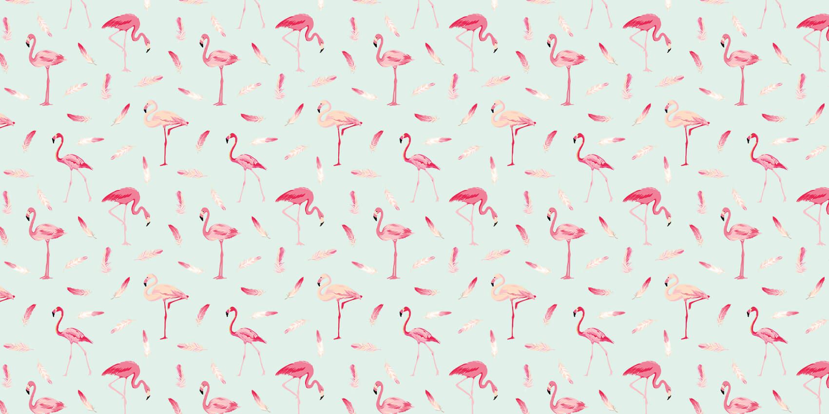 Flamants roses main product photo