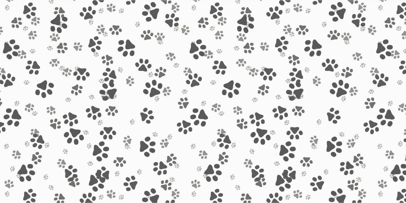 Jambes de chien main product photo