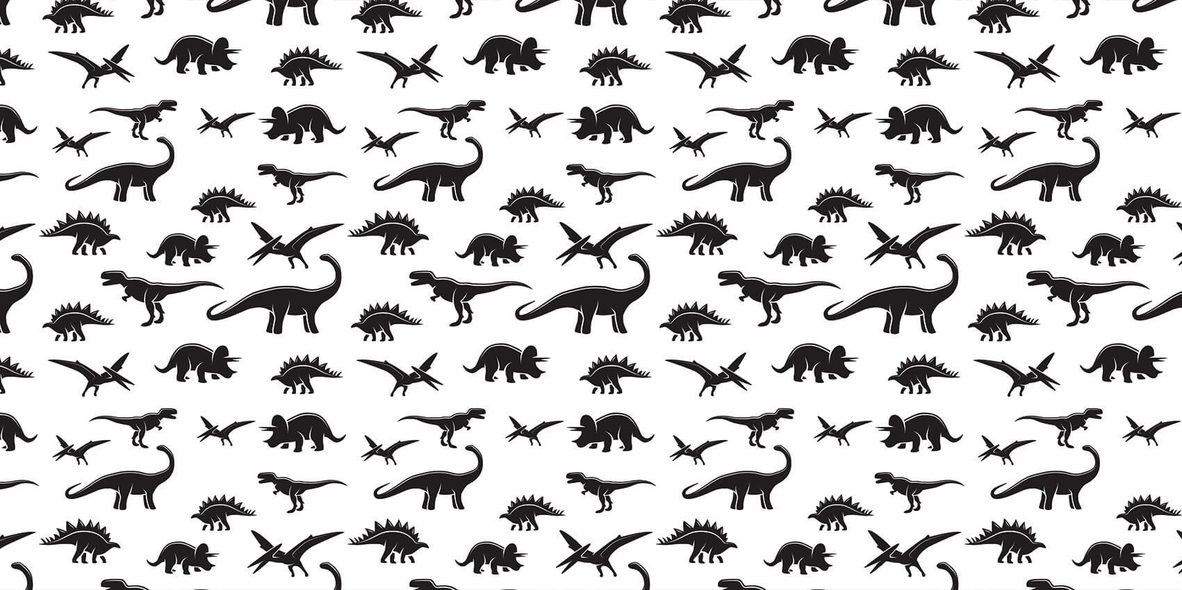 Dinosaure noir main product photo