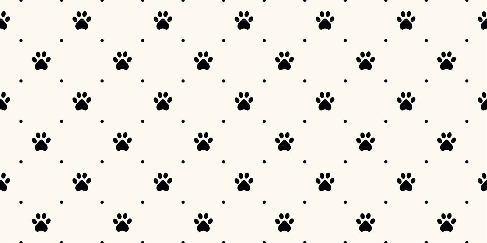 Pattes de chien main product photo