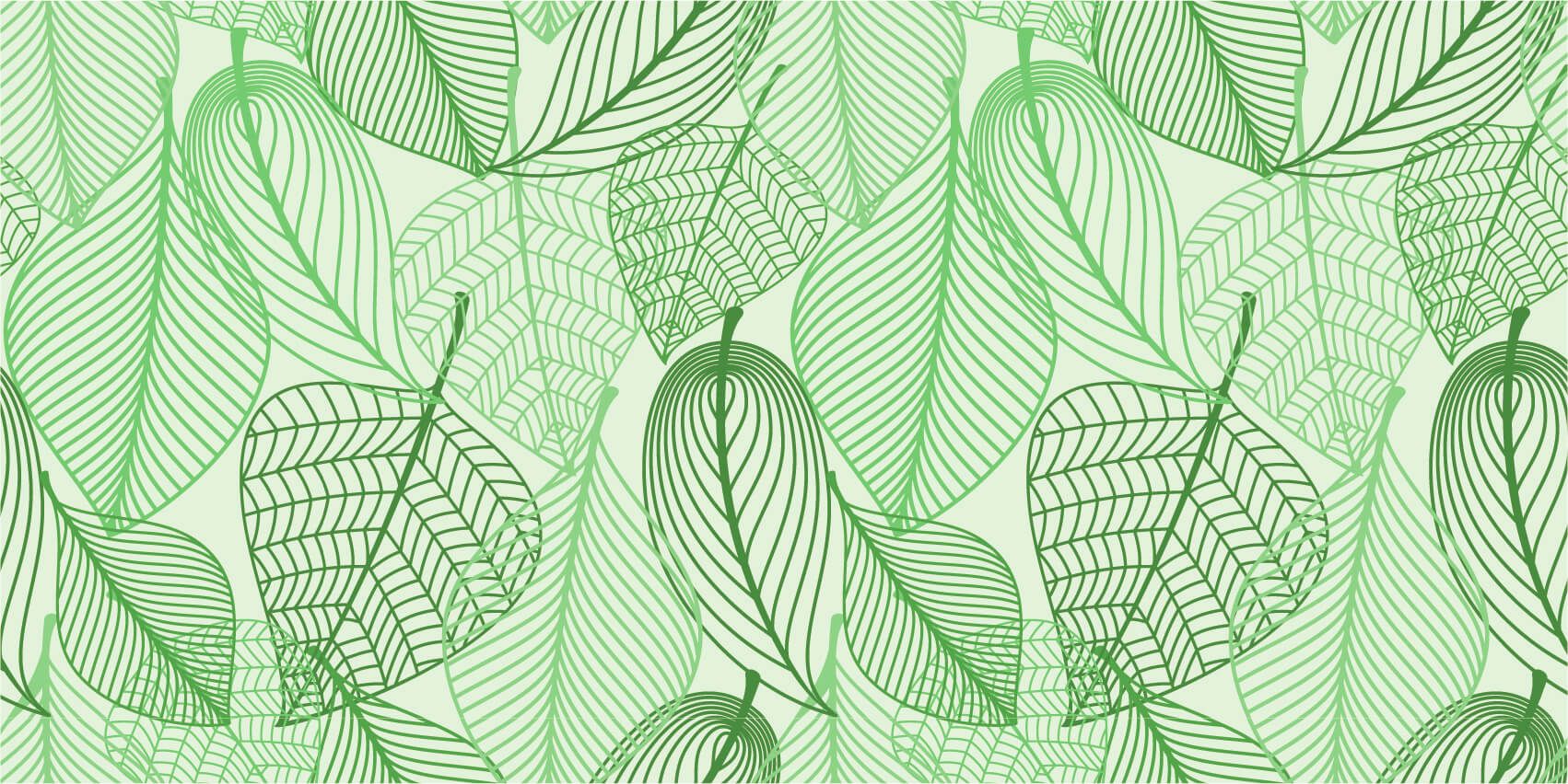 Feuilles vertes dessinées main product photo