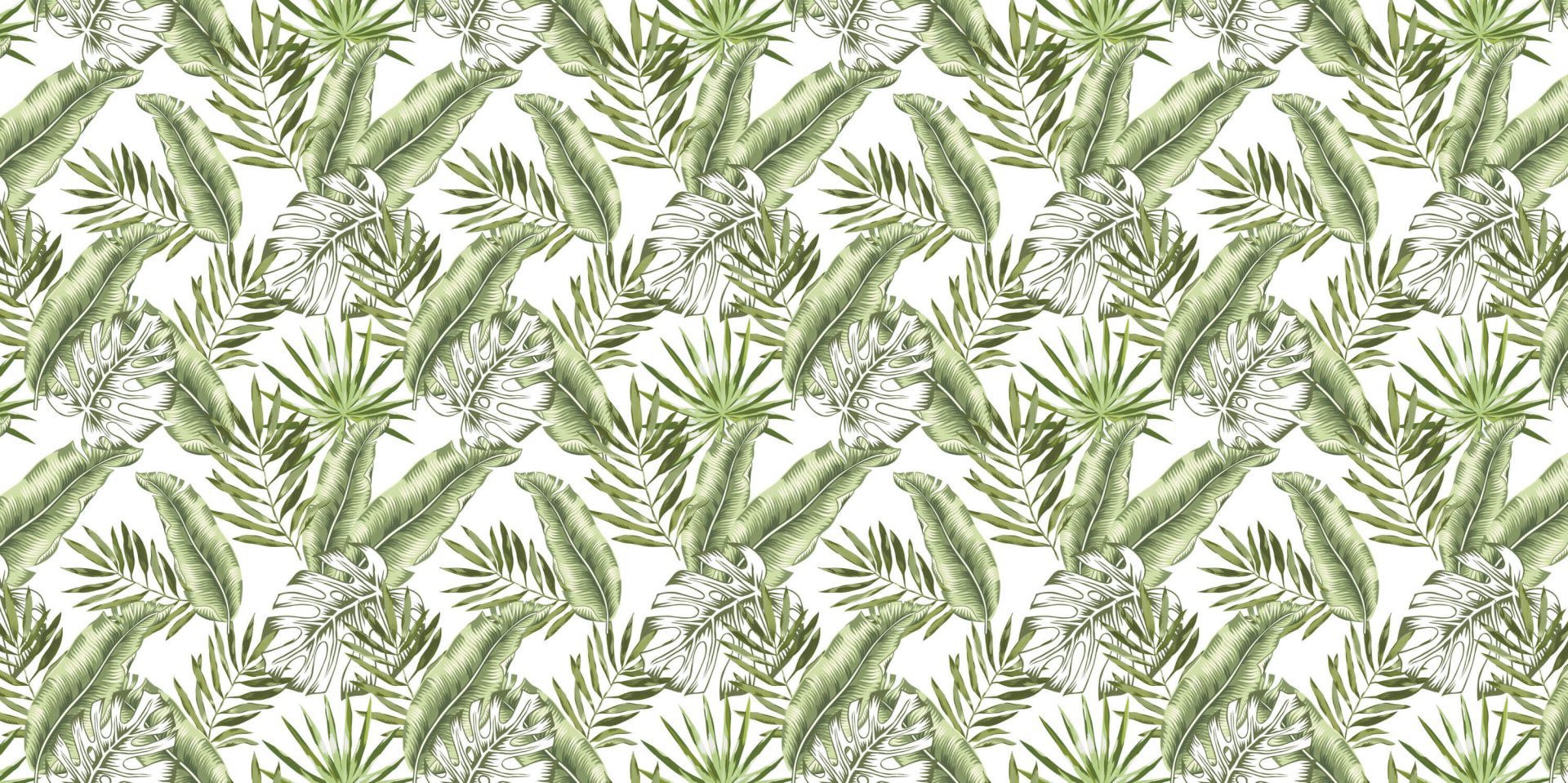 Feuilles tropicales