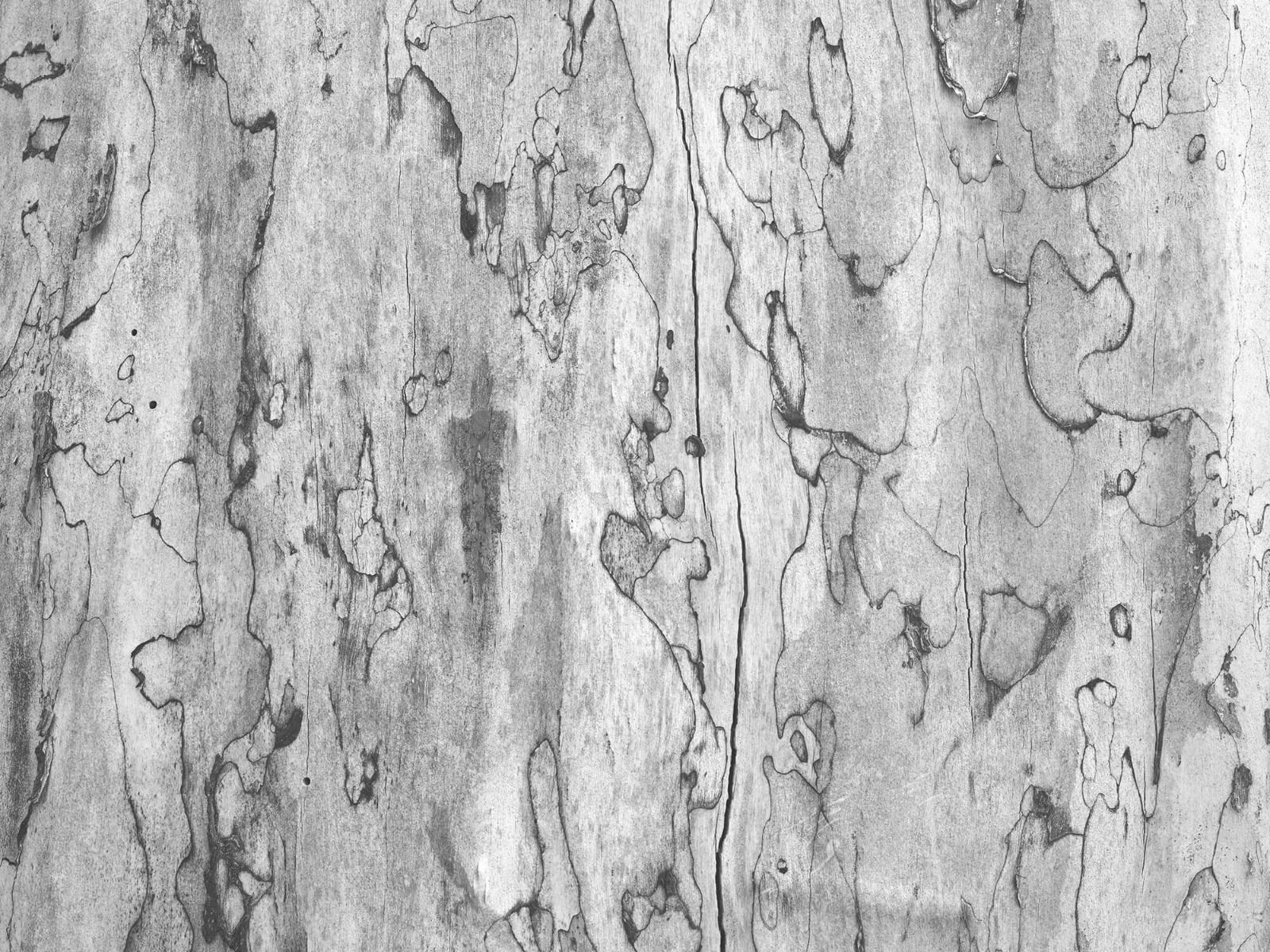 Écorce d'arbre