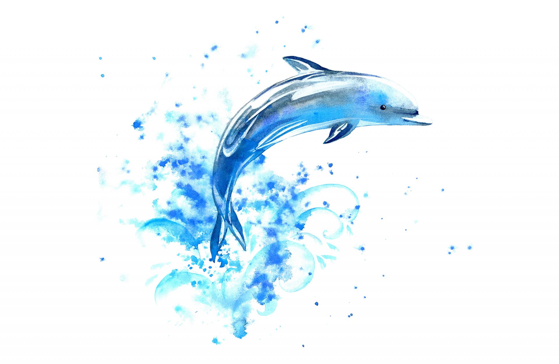 Dauphin sauteur