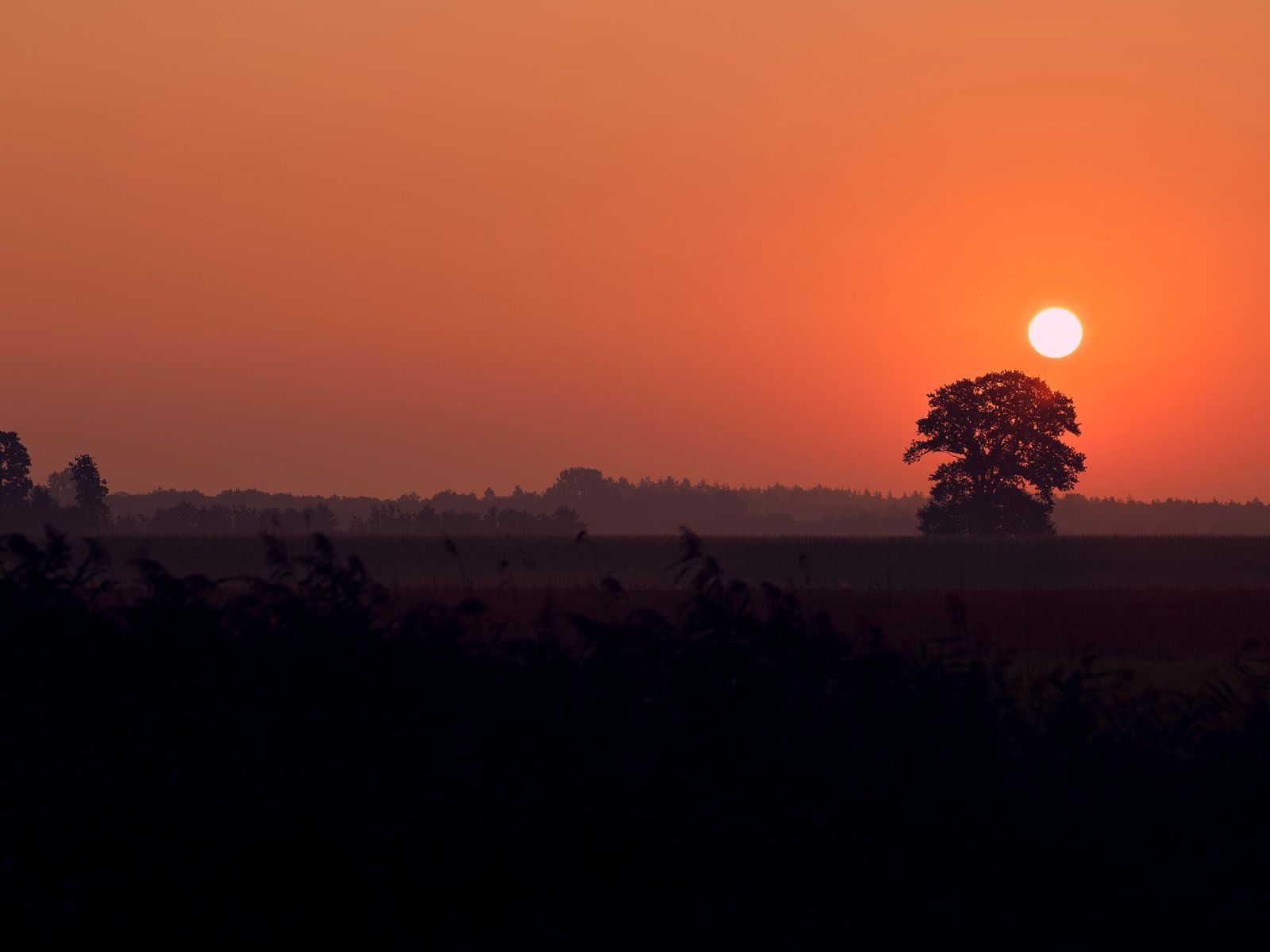Lever du soleil