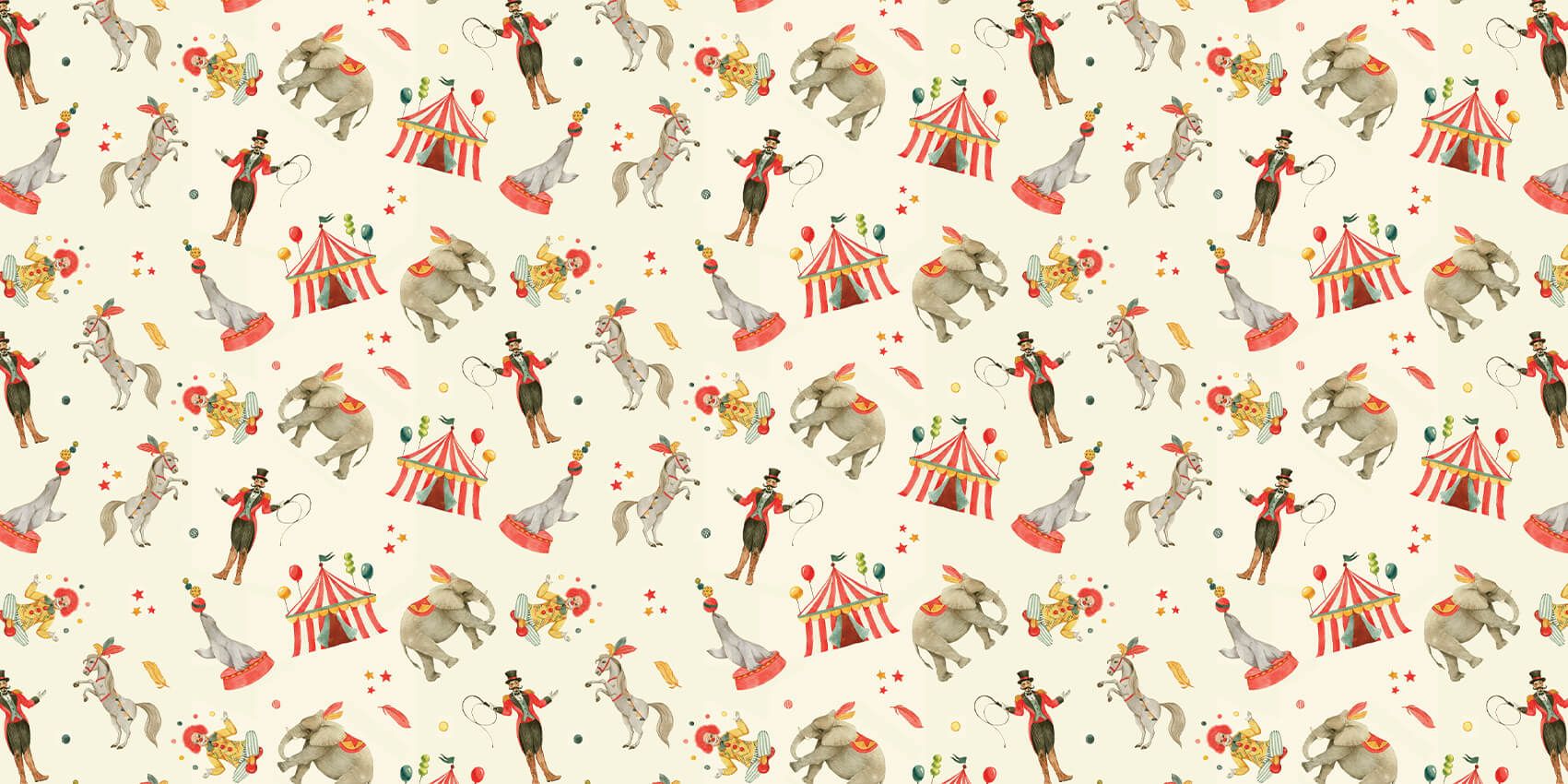 Cirque