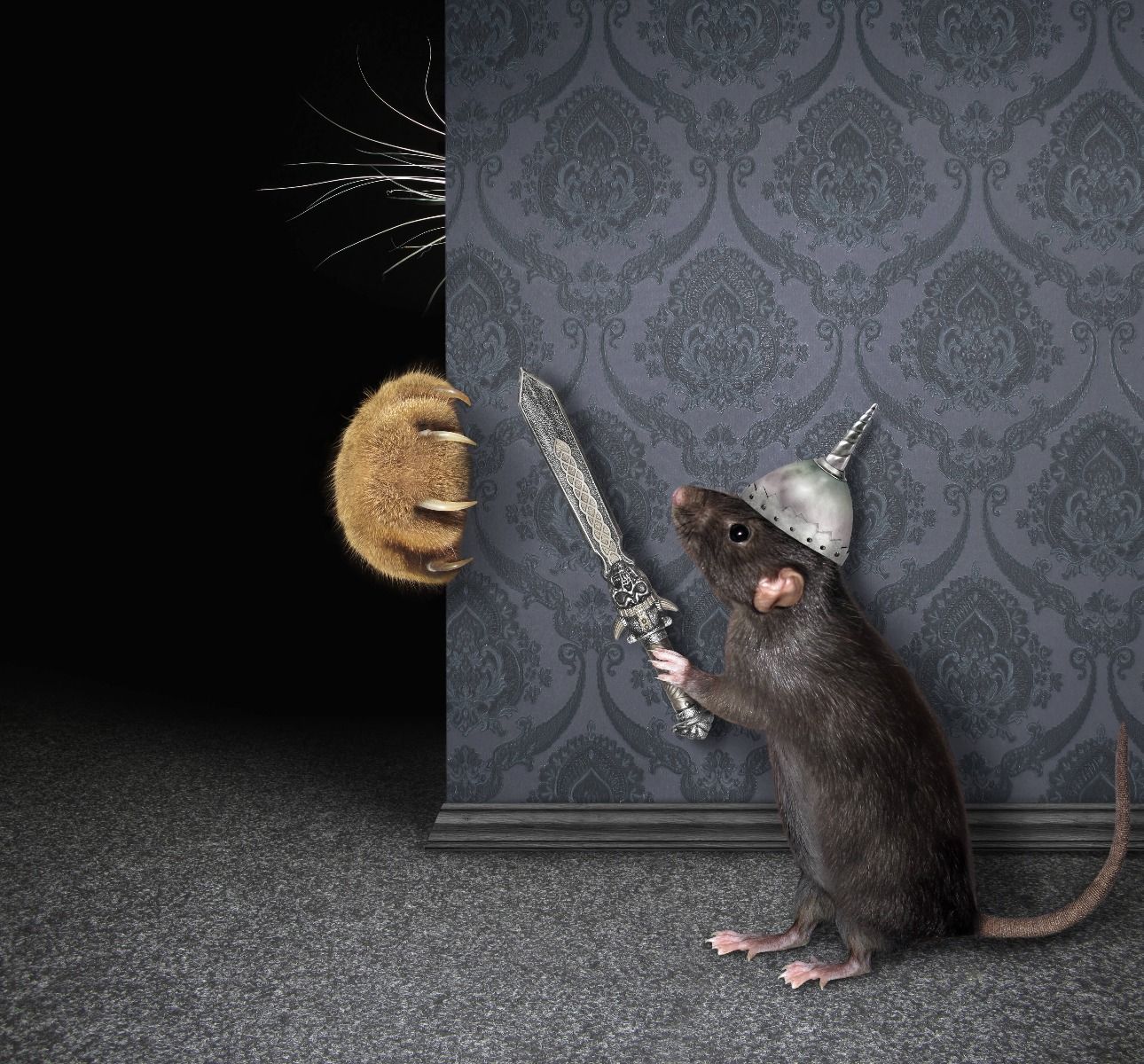 Chat et souris