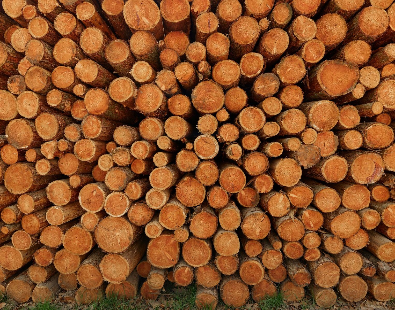 Pile de troncs d'arbres sombres Pile de troncs d'arbres sombres
