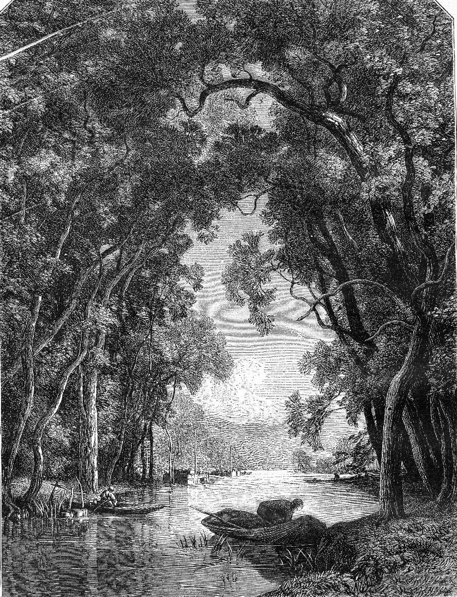 Une vieille rivière dans la jungle