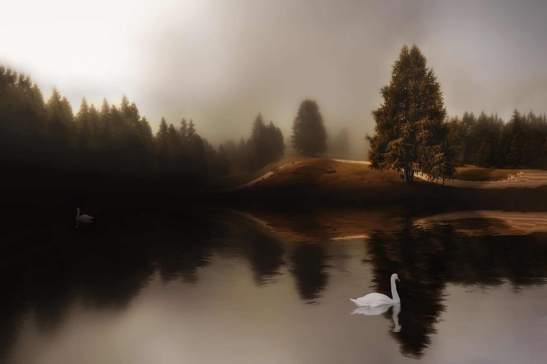 Swan Lake main product photo
