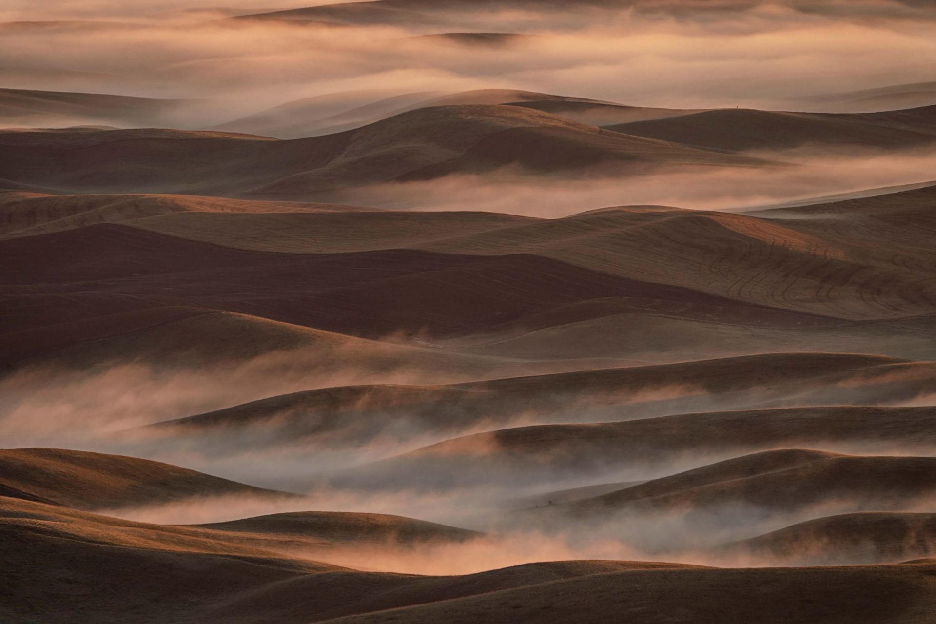Early Spring Morning at Palouse main product photo