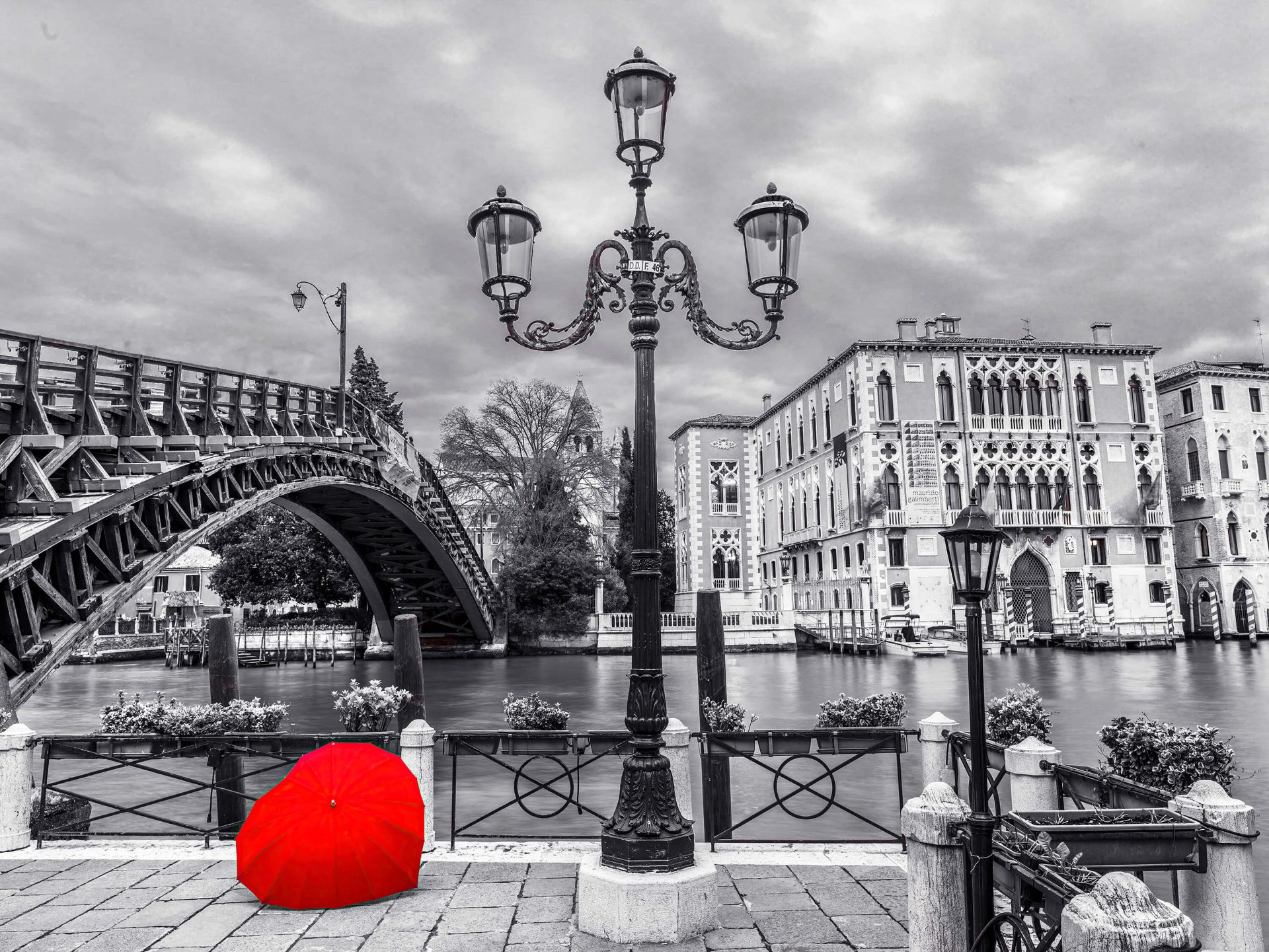 Ponte dell'Accademia main product photo