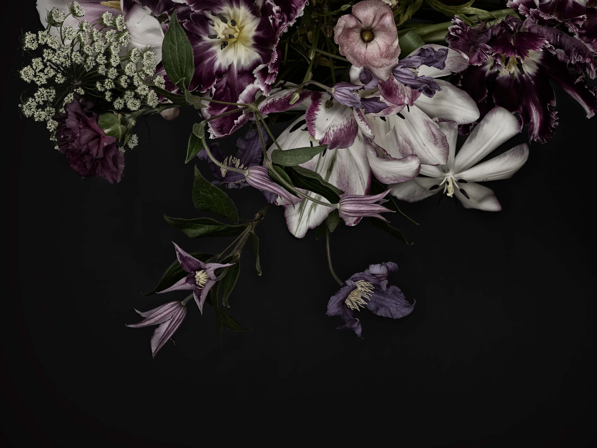 Mur de fleurs