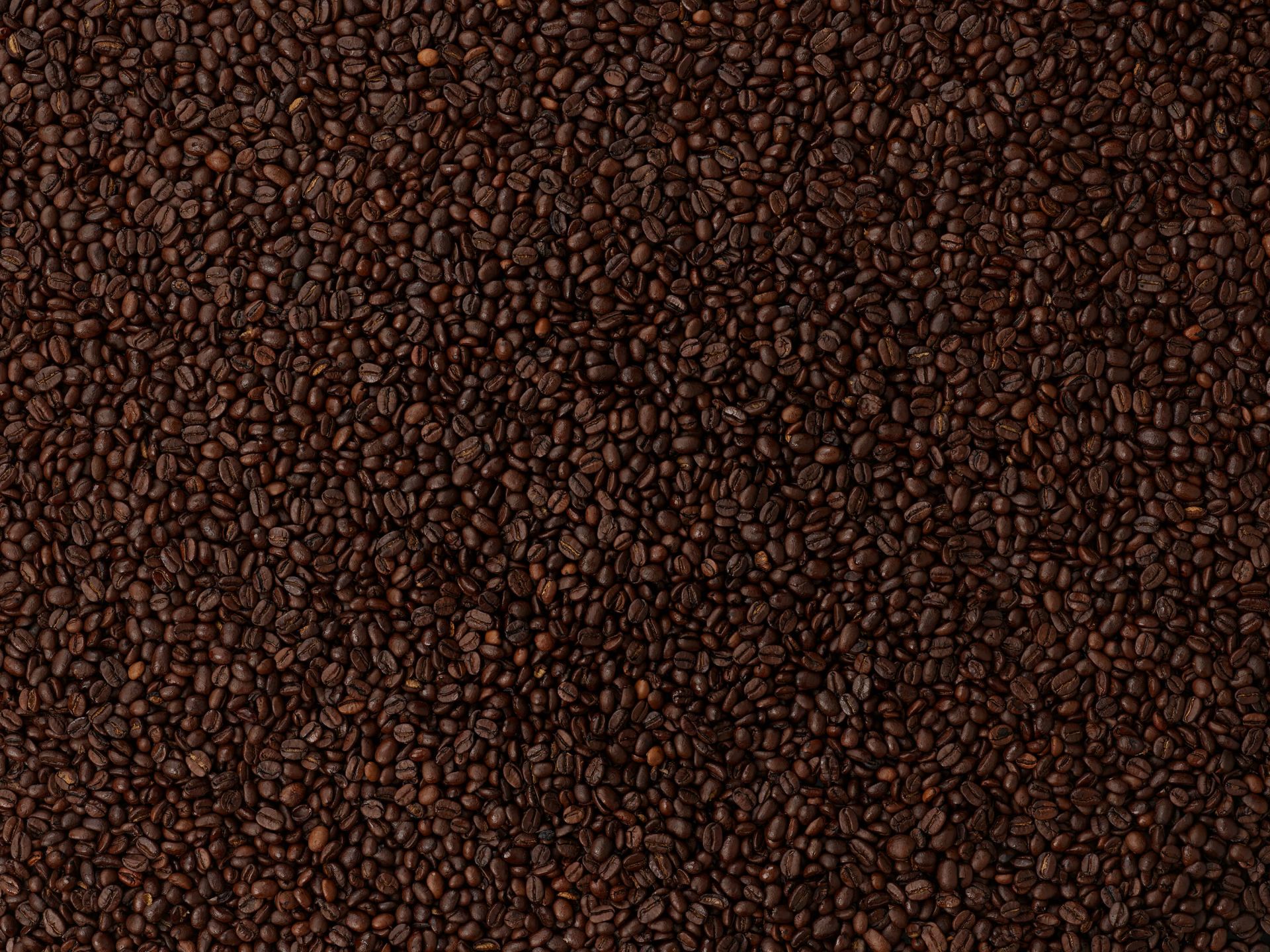 Grains de café torréfiés main product photo