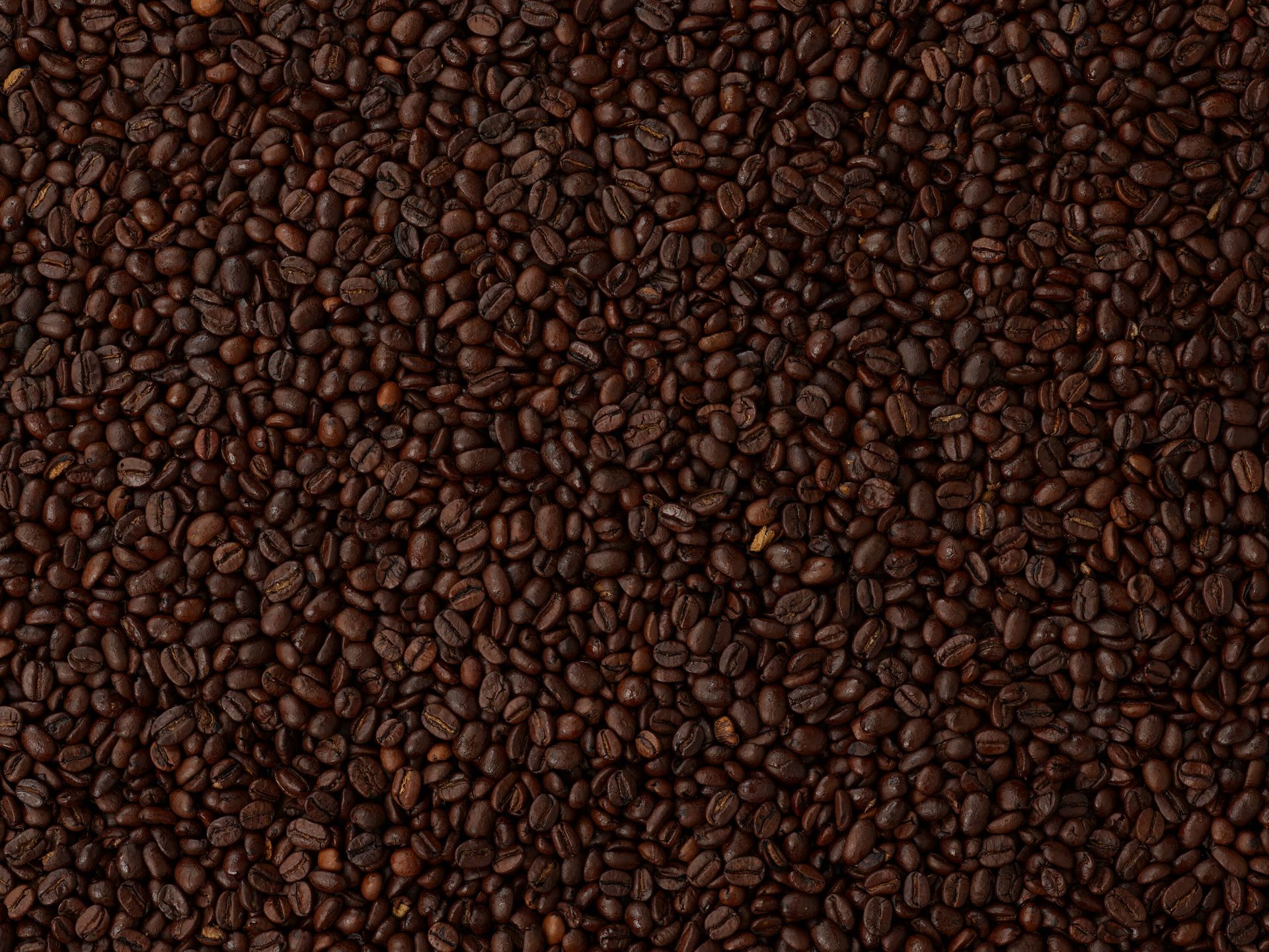 Mélange de grains de café main product photo