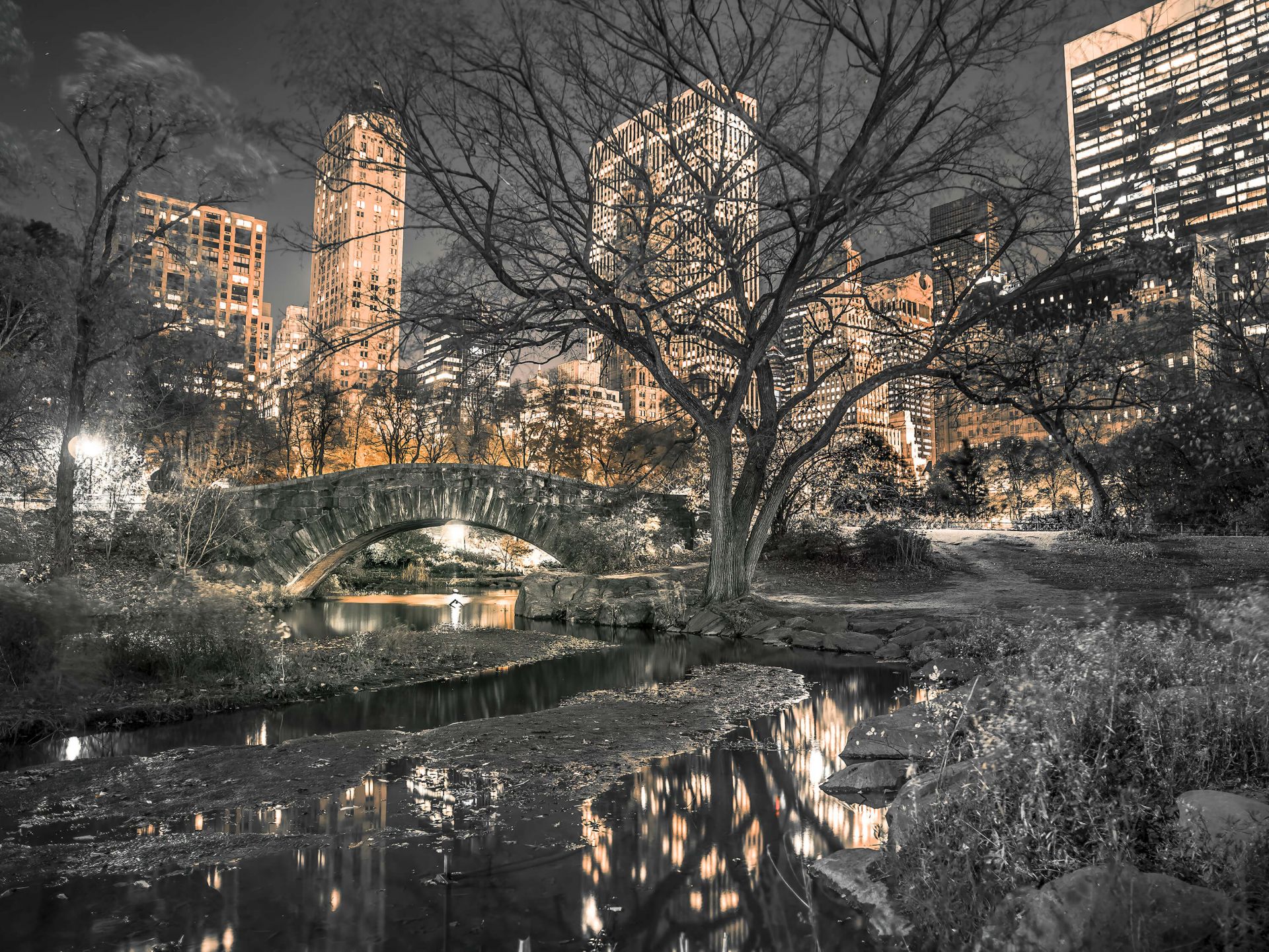 Central park en soirée main product photo