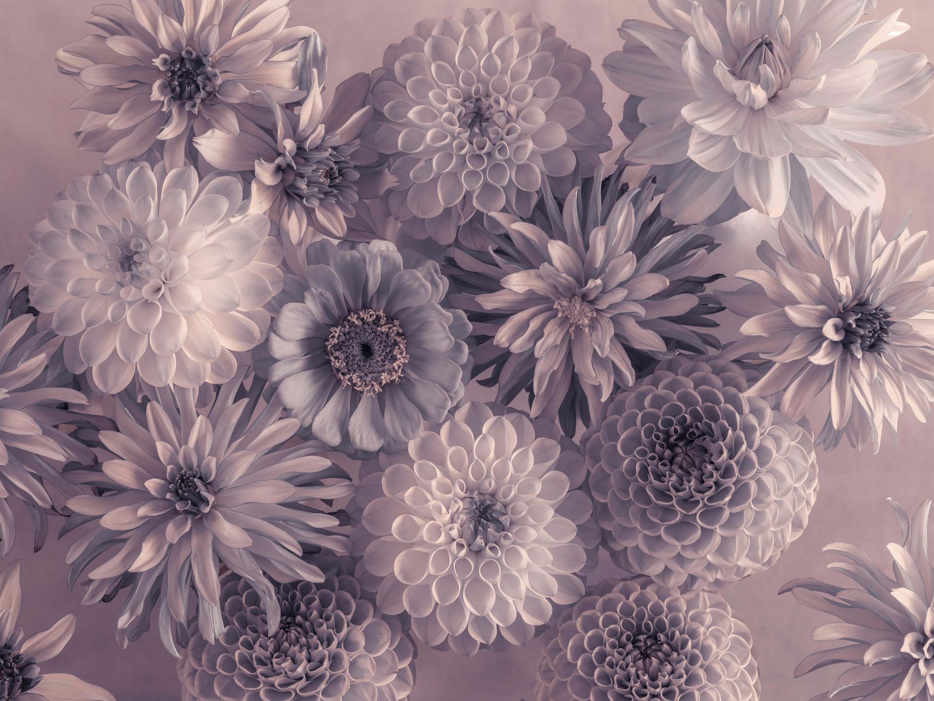 Ensemble de fleurs main product photo