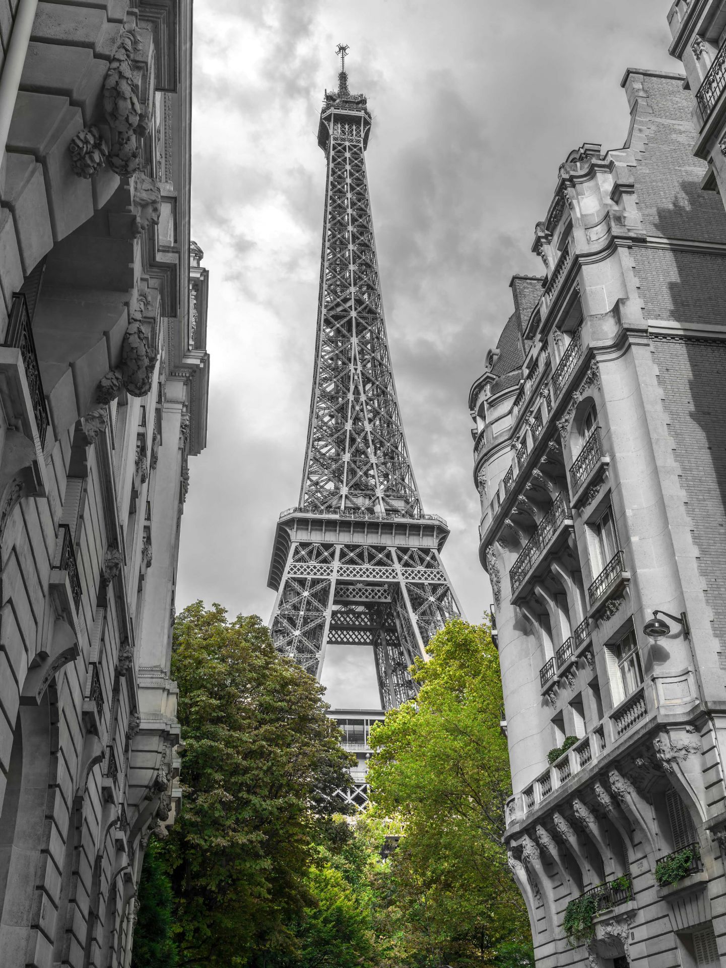 Tour Eiffel noir et blanc main product photo