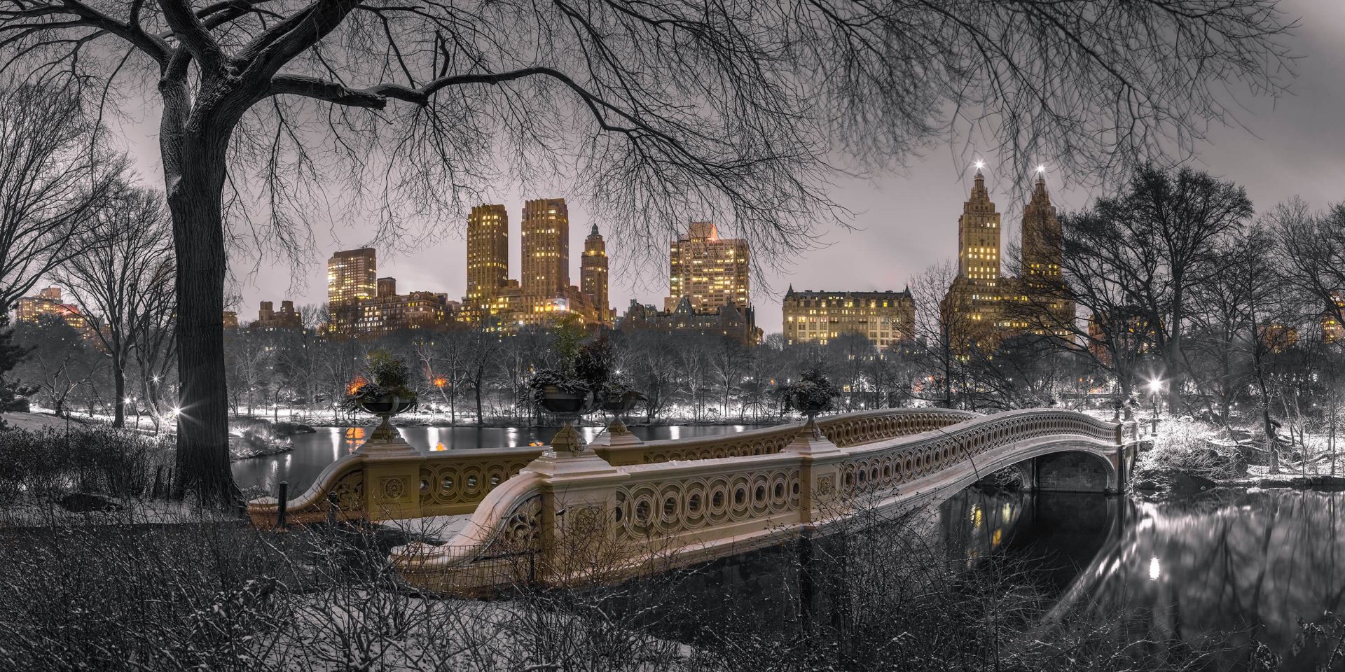 Central park et Manhattan main product photo