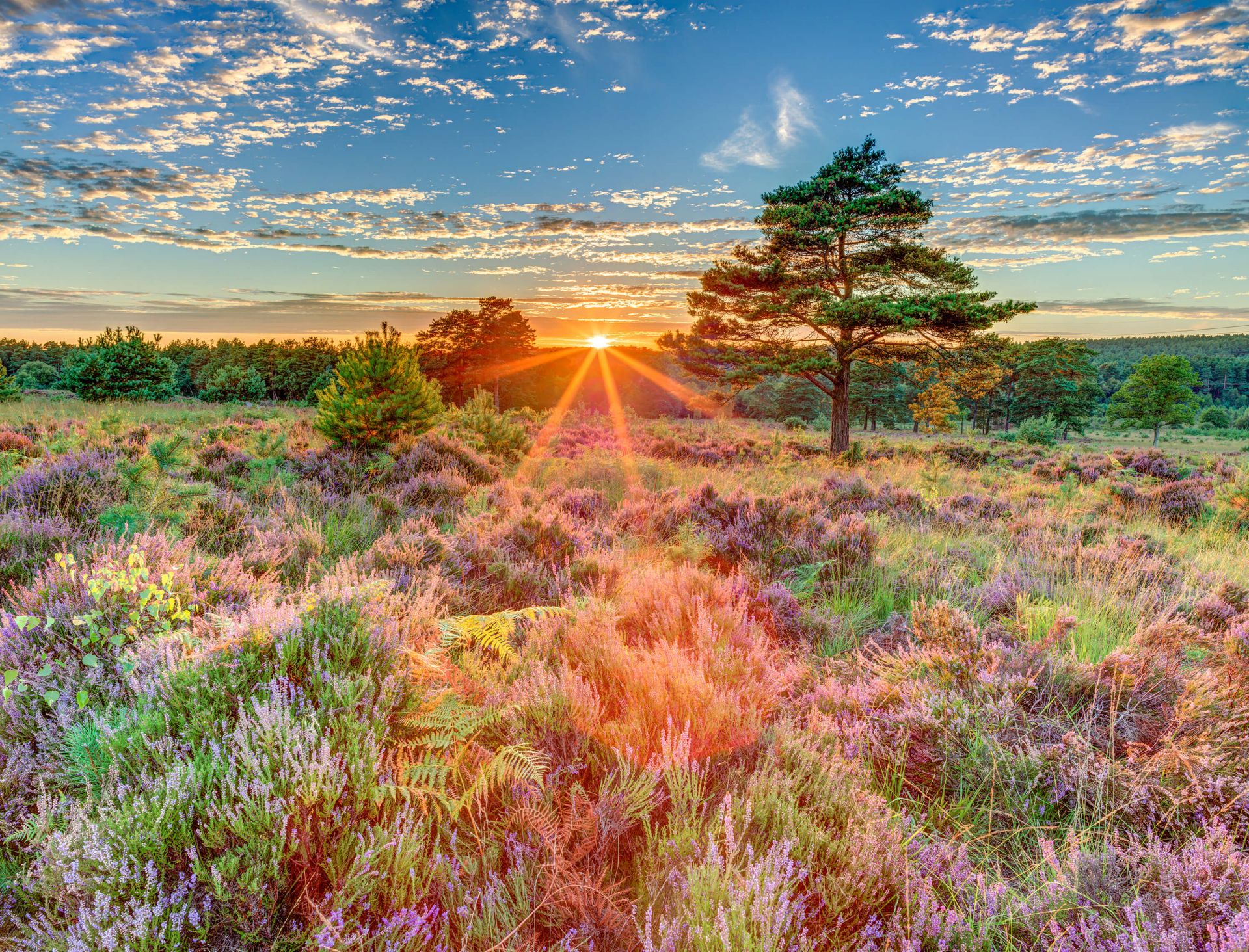 Coucher de soleil à la campagne main product photo