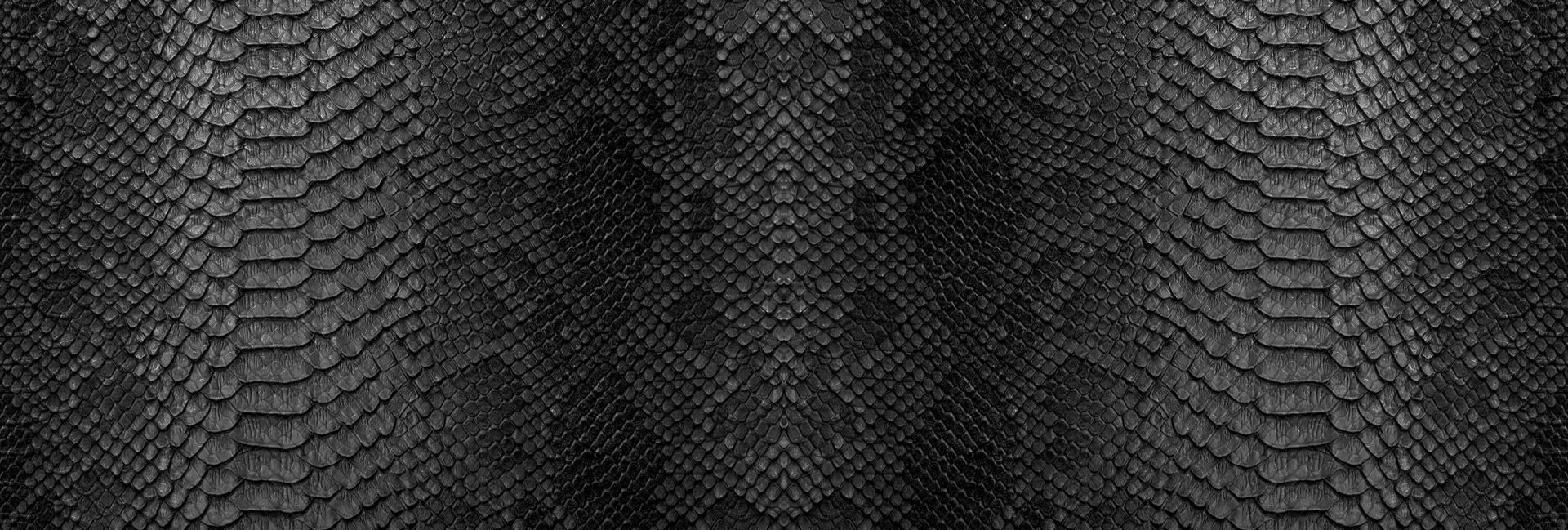 Peau de serpent