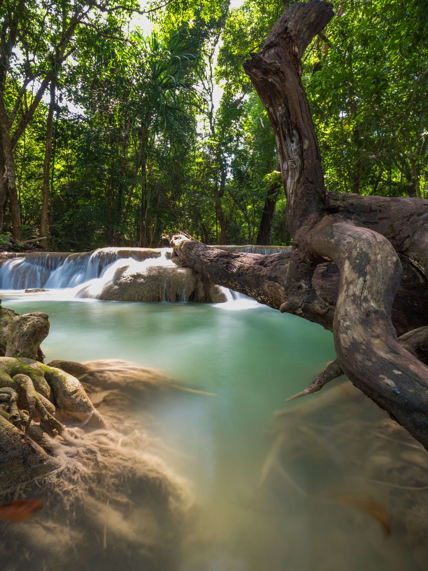 Chute d'eau dans  jungle