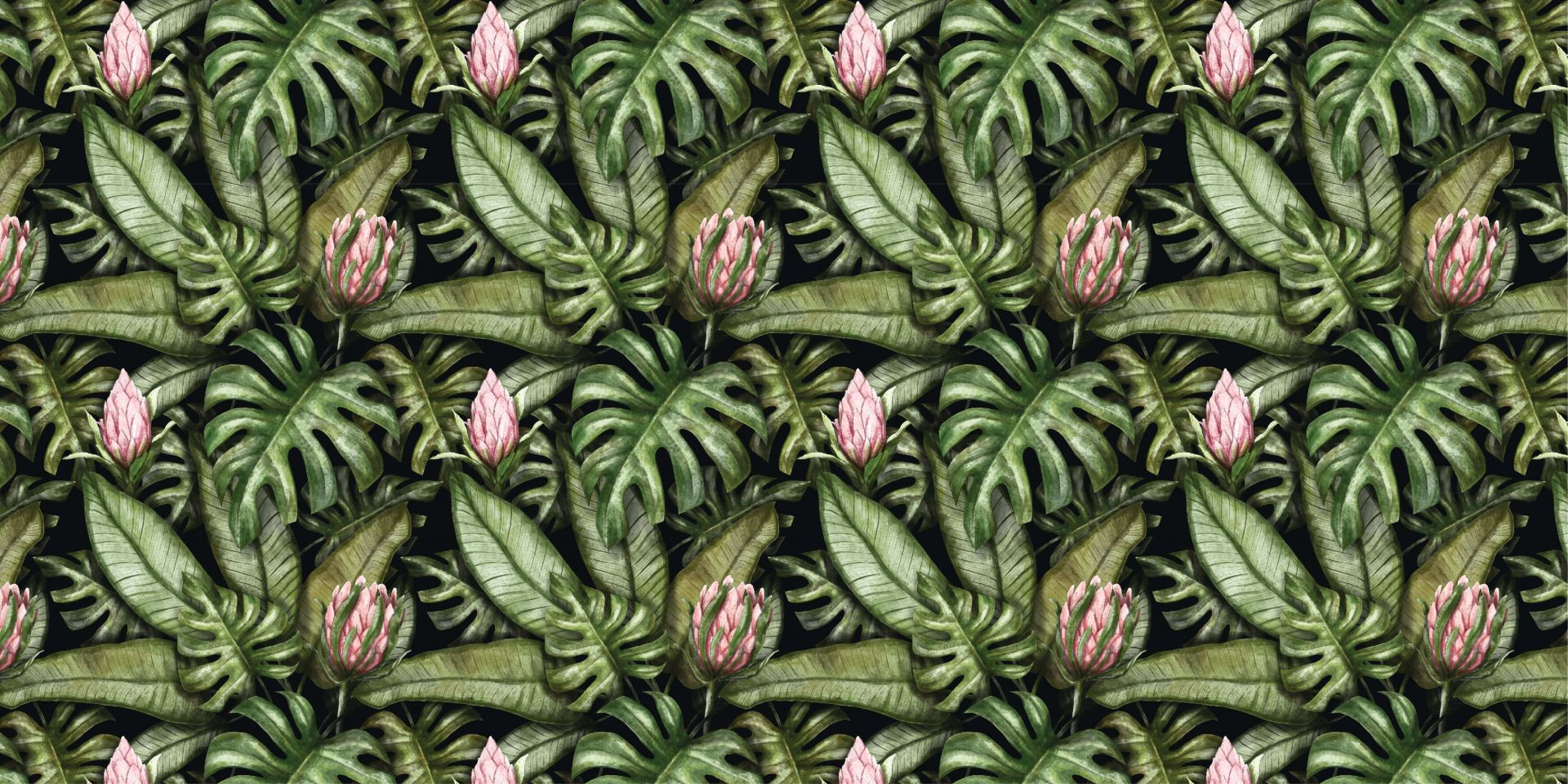 Fleurs de protéa