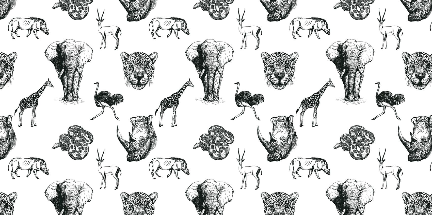 Croquis d'animaux main product photo