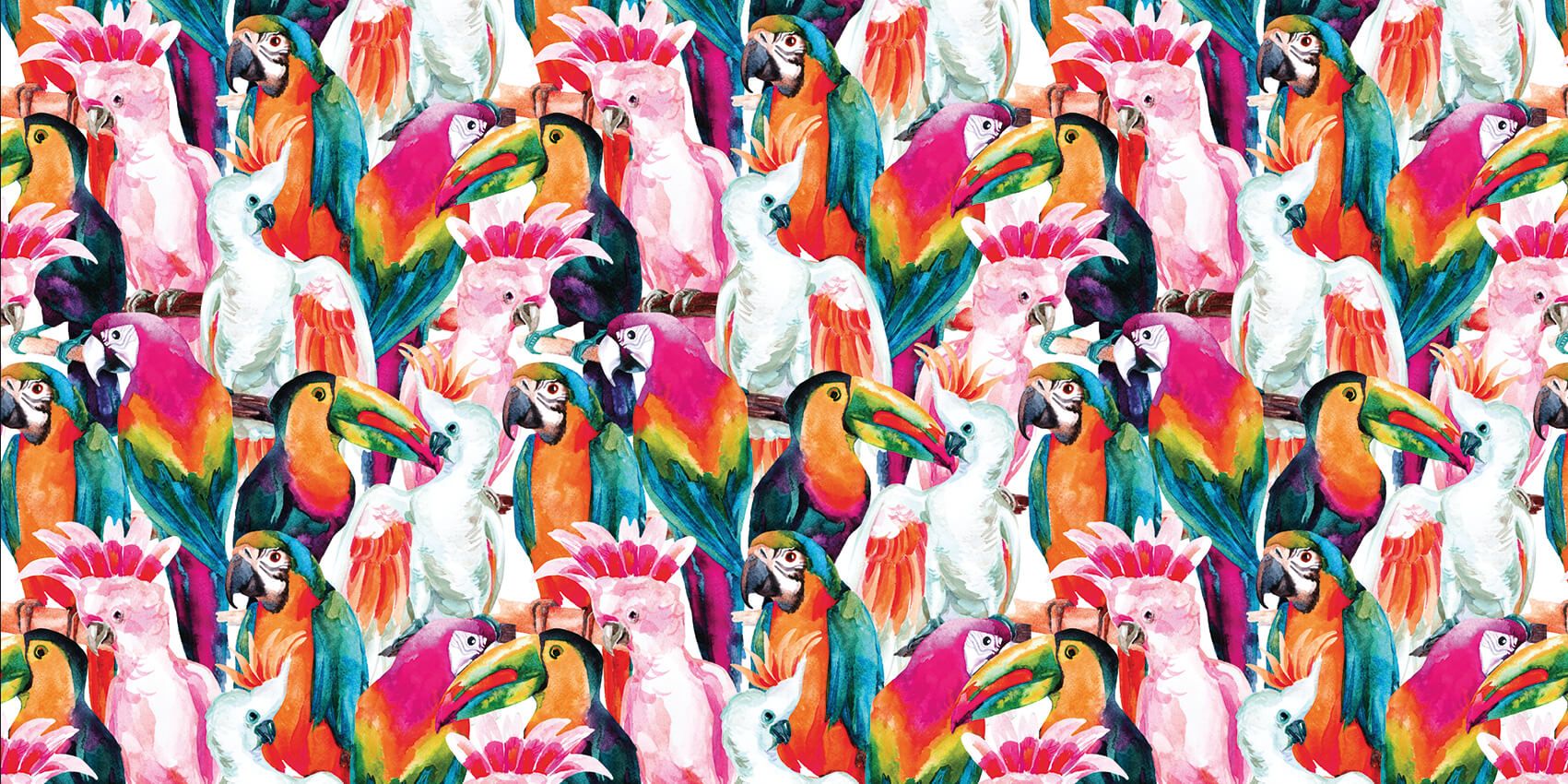 Oiseaux aux couleurs tropicales
