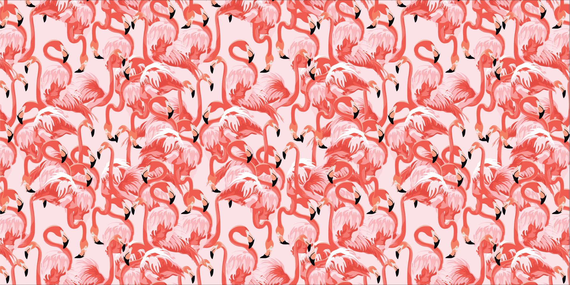 Flamants roses exotiques Flamants roses exotiques