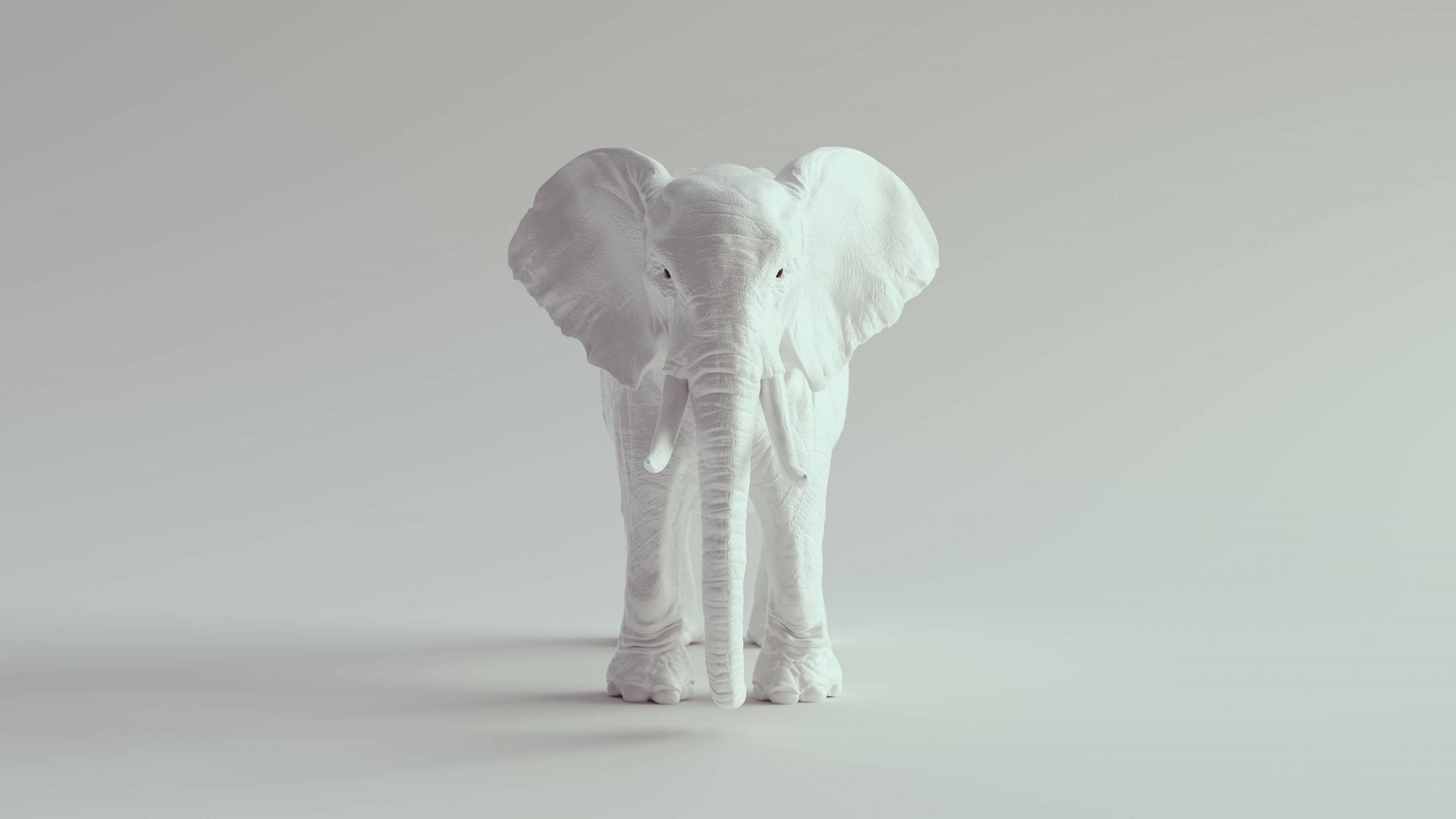 Éléphant 3D main product photo