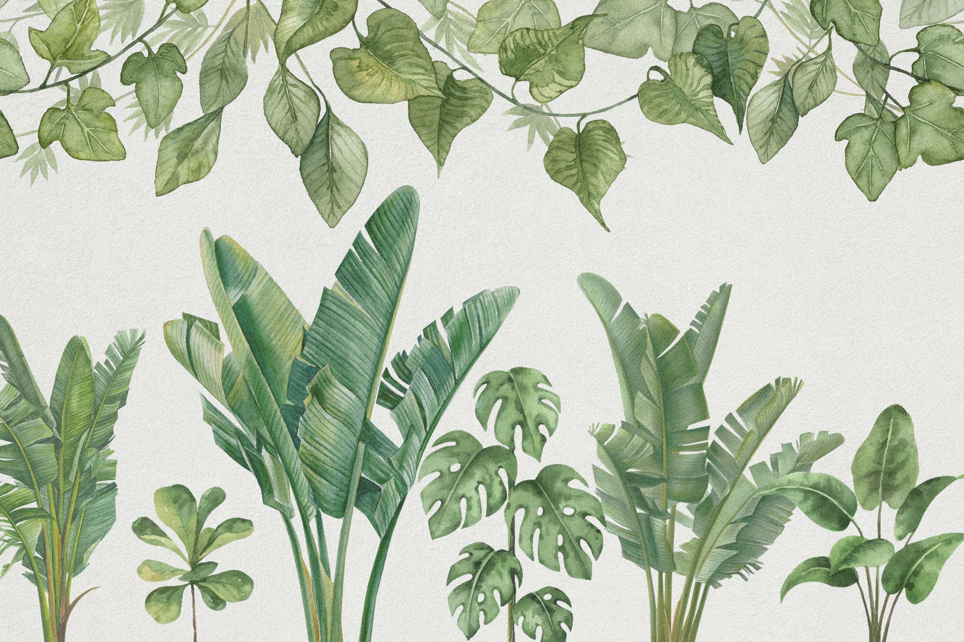Plantes de la jungle tropicale main product photo