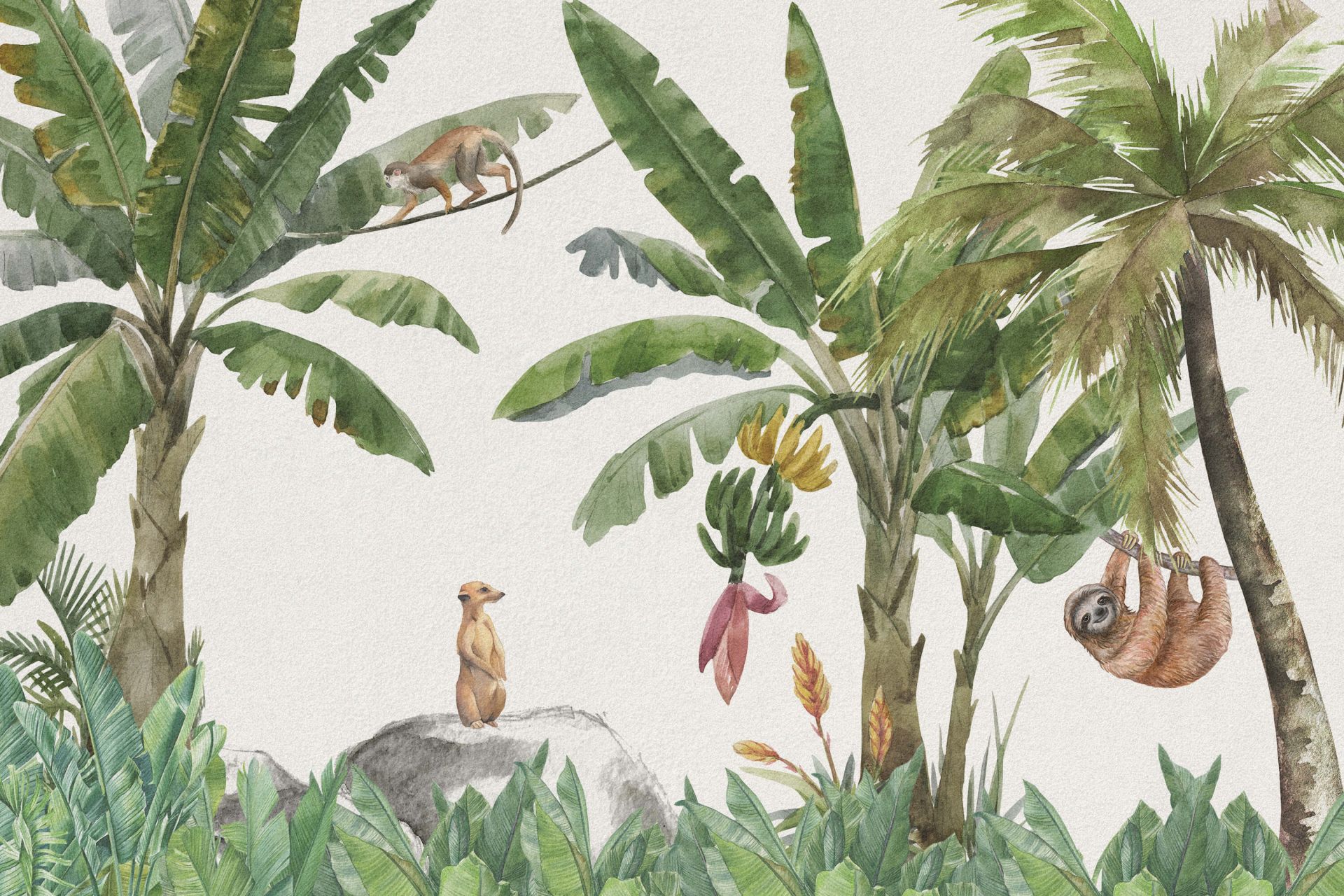 Jungle avec des animaux colorés main product photo