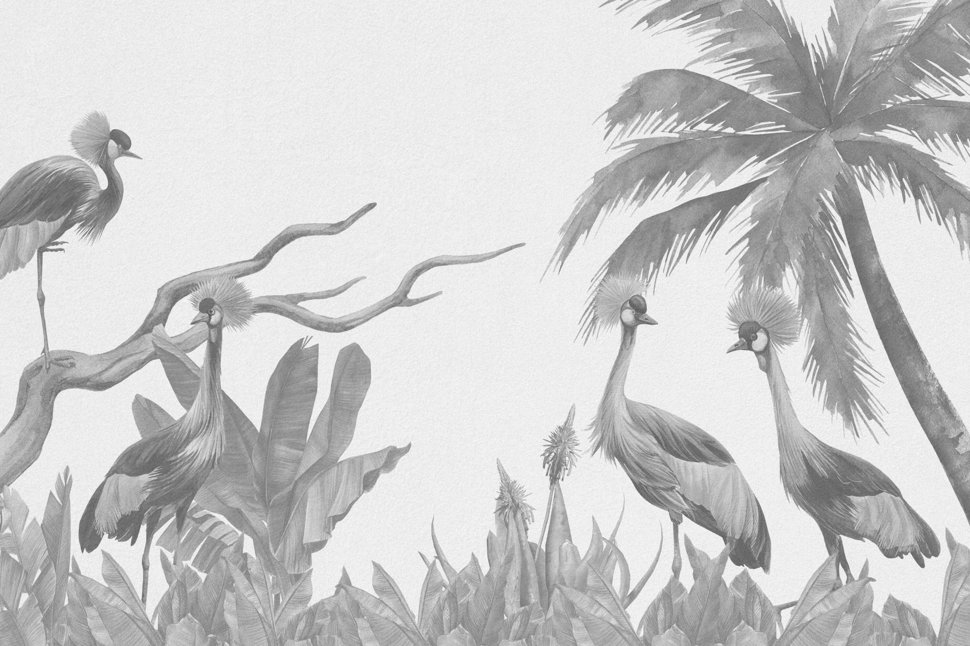 Jungle avec grues en dégradé de gris main product photo