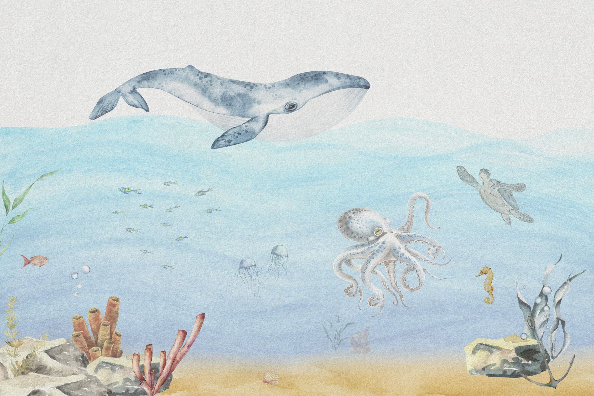 Le monde sous-marin avec une baleine main product photo