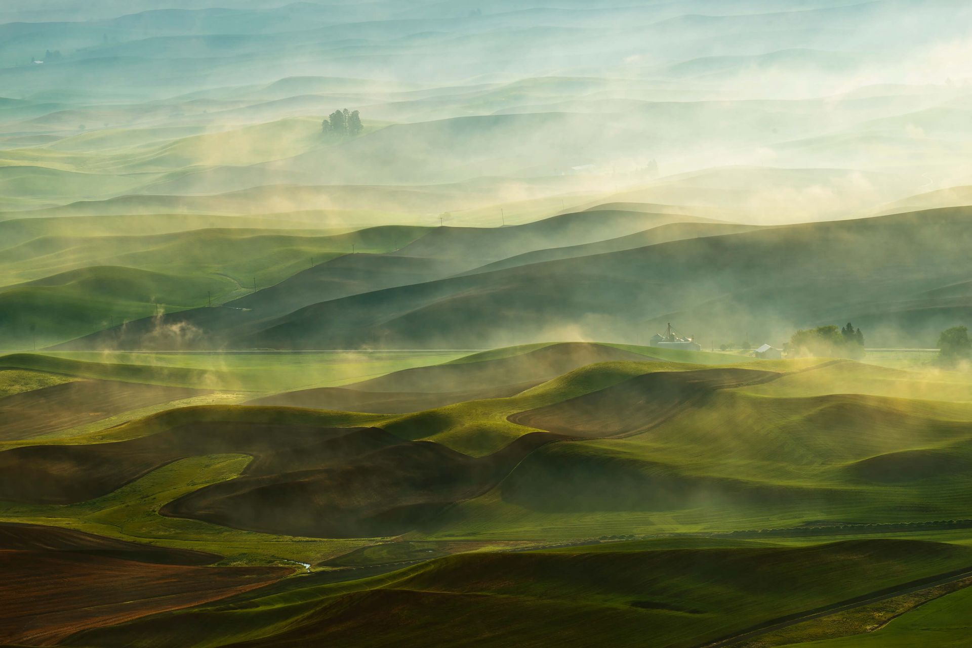Golden Morning-Palouse Golden Morning-Palouse