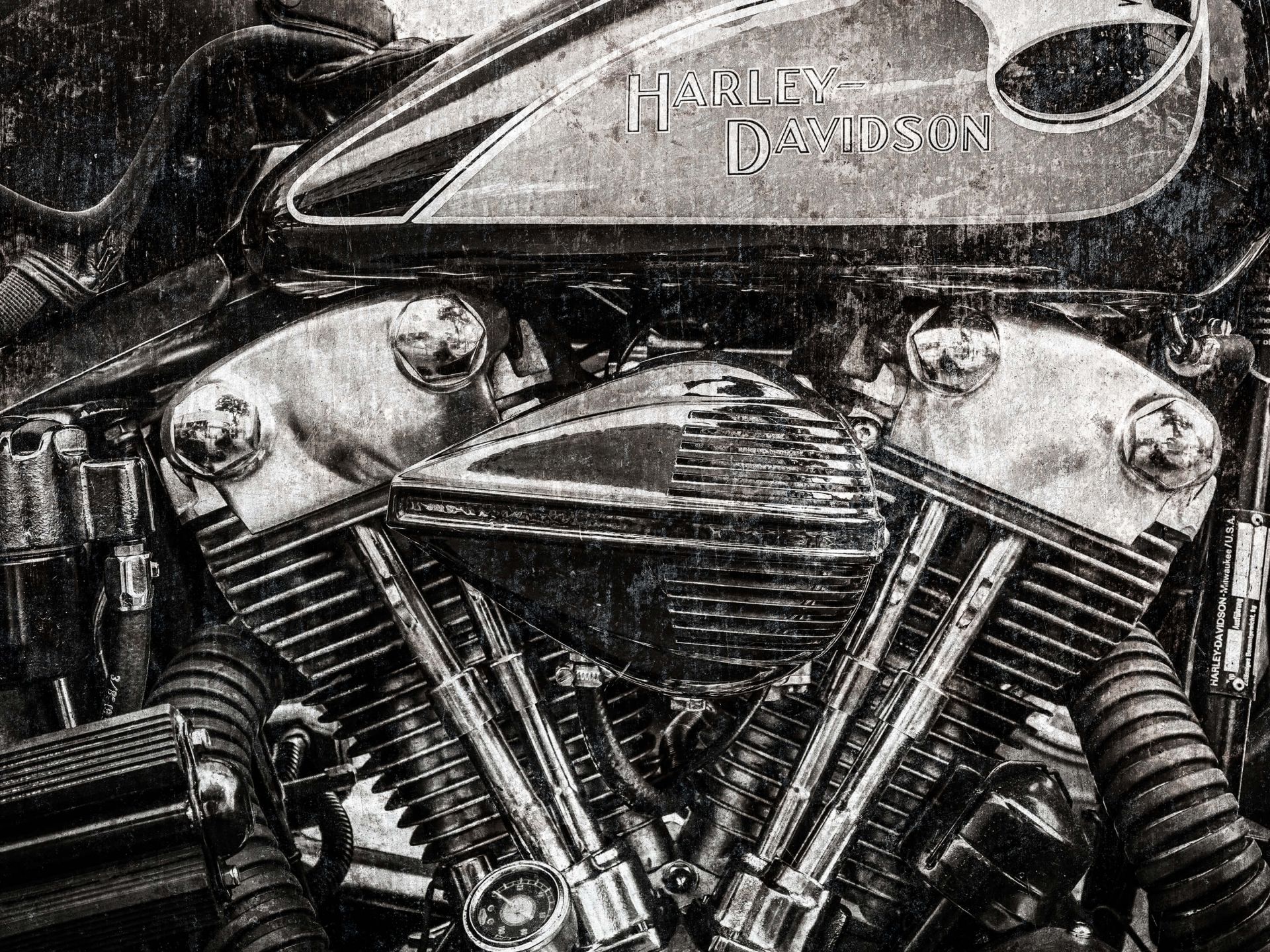 Harley davidson en gros plan