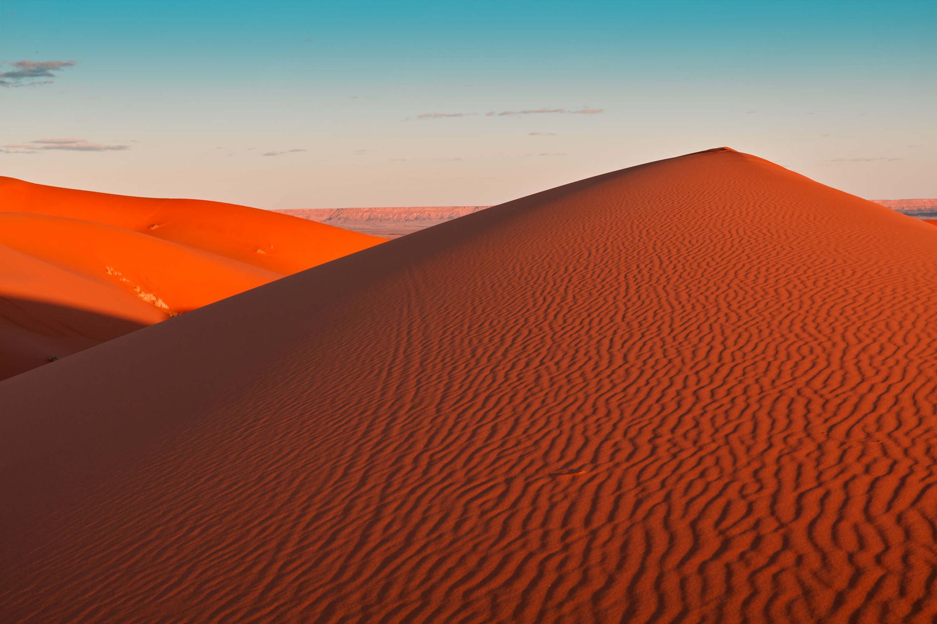 Dunes de sable dans le désert du Sahara