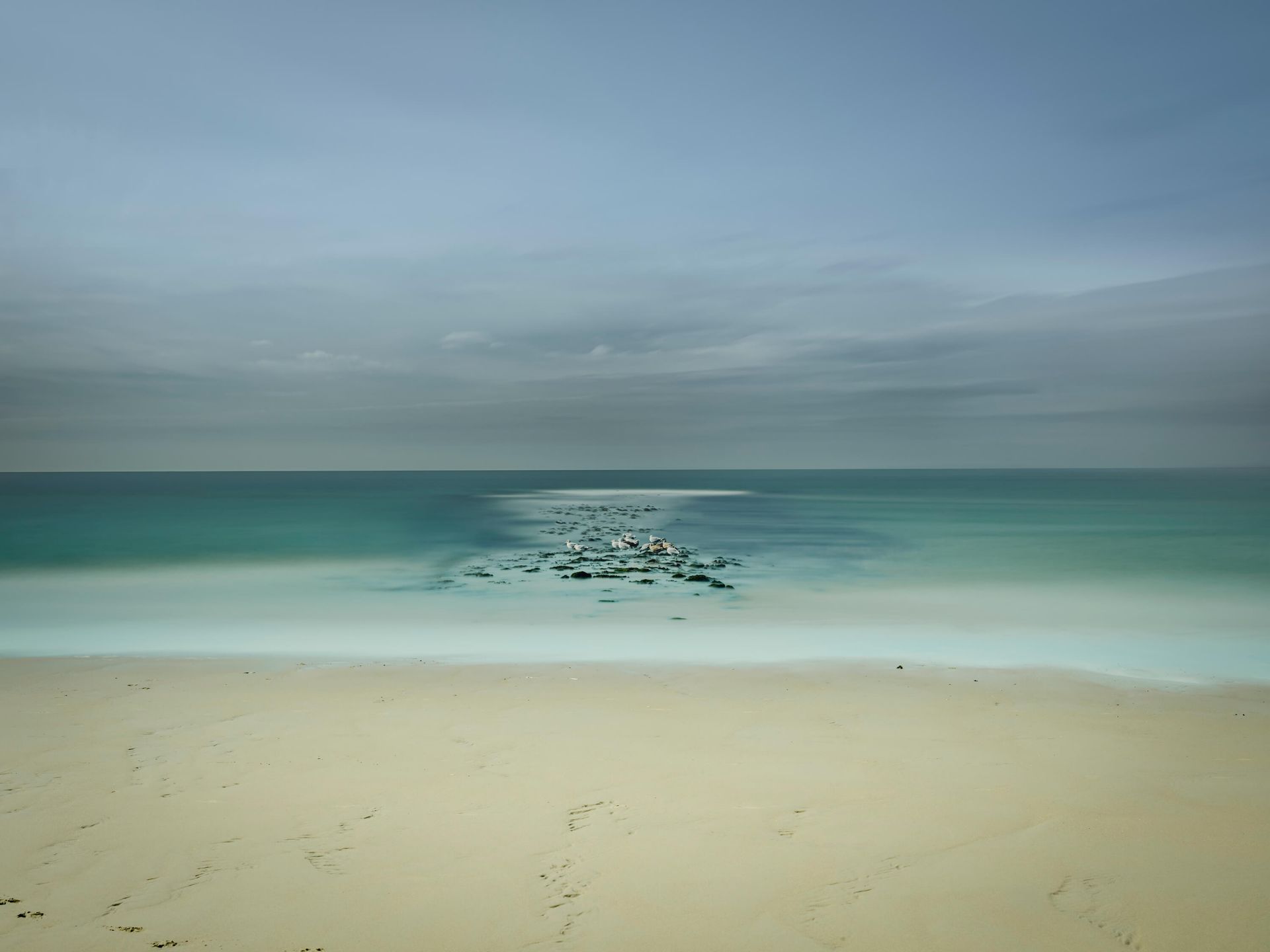 Mer calme avec mouettes Mer calme avec mouettes