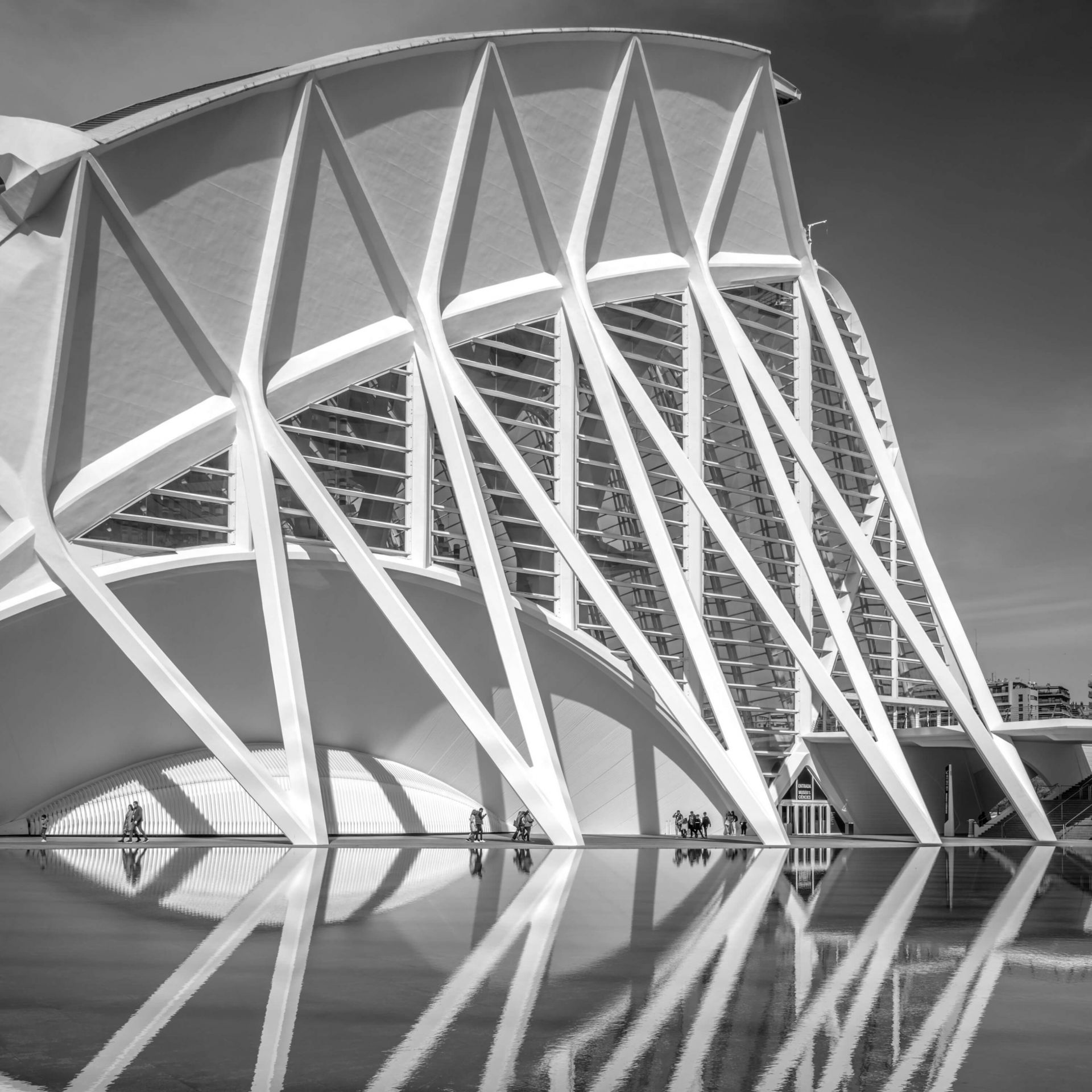 Musée des sciences - Museo de las Ciencas Principe Felipe - Valencia Musée des sciences - Museo de las Ciencas Principe Felipe - Valencia