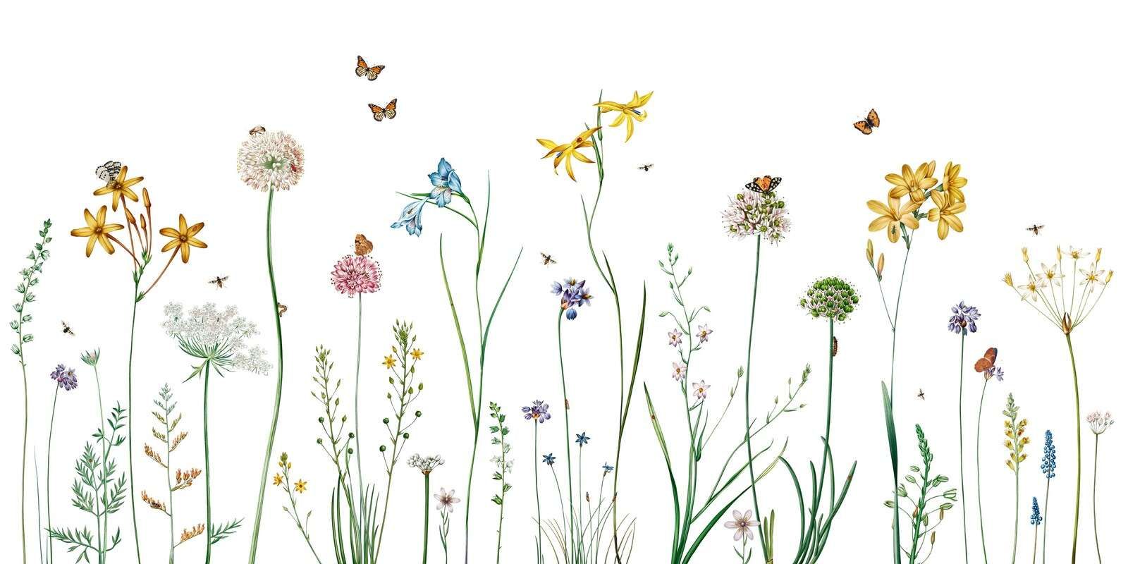 Butterfly Garden